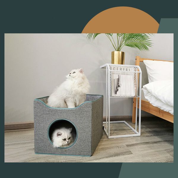 складной хранения кошачьих туалетов лето закрытые глубокий сон четыре сезона универсальный кот дом домашнее животное кровать cat
складной хранения кошачьих туалетов лето закрытые глубокий сон четыре сезона универсальный кот дом домашнее животное кровать cat