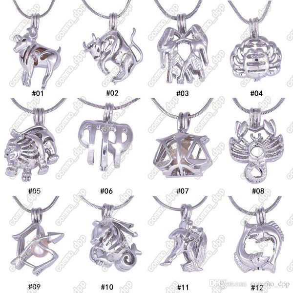 12 constellation pearl cage locket pendants without chain diy wish love pearl necklace zodiac signs charm pendants mountings jewelry gift, Silver
12 constellation pearl cage locket pendants without chain diy wish love pearl necklace zodiac signs charm pendants mountings jewelry gift, Silver