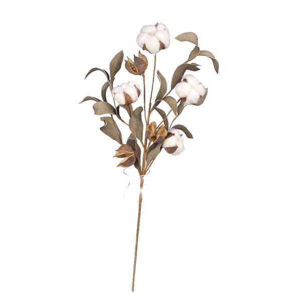 4balls per stem cotton flower dried cotton stems farmhouse naturally artificial flower picks natural balls reed pampas
4balls per stem cotton flower dried cotton stems farmhouse naturally artificial flower picks natural balls reed pampas