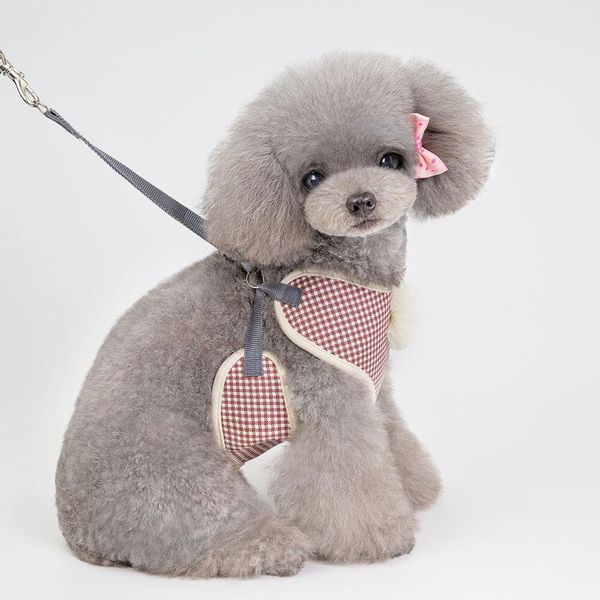 дышащий малый собак harness и поводок установить pet cat vest harness жгуты собаки дизайнер собаку аксессуары
дышащий малый собак harness и поводок установить pet cat vest harness жгуты собаки дизайнер собаку аксессуары
