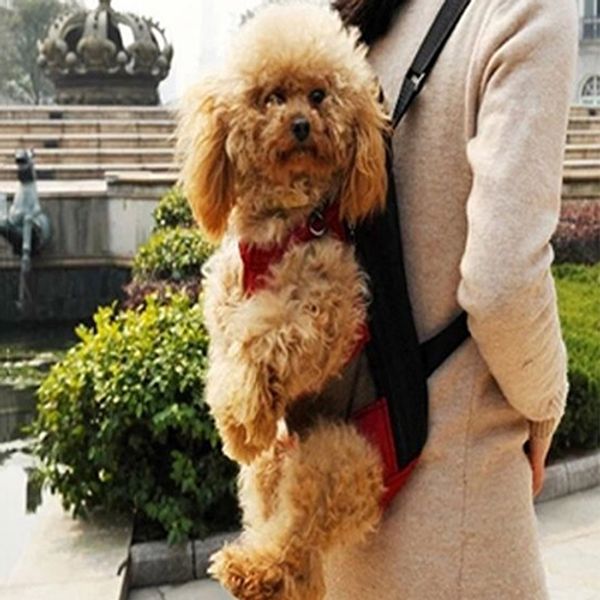pet dogs cats outdoor carrier backpack canvas legs out front shoulder bag
pet dogs cats outdoor carrier backpack canvas legs out front shoulder bag