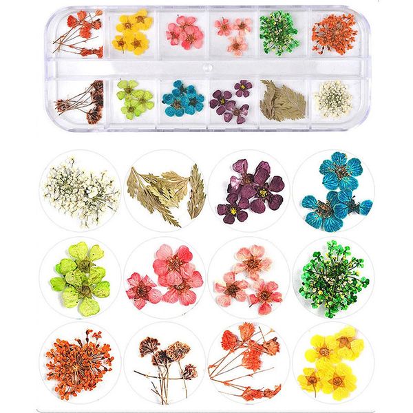 mix dried flowers nail decorations jewelry natural floral leaf stickers 3d nail art designs polish manicure accessories, Black
mix dried flowers nail decorations jewelry natural floral leaf stickers 3d nail art designs polish manicure accessories, Black