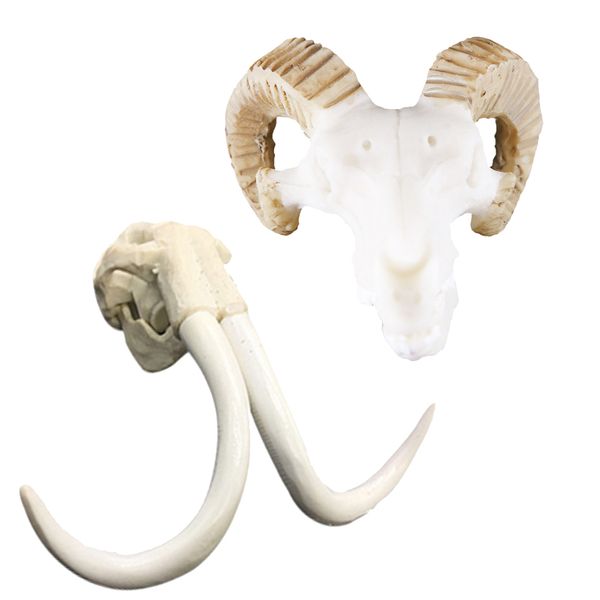 set of 2, reptile vivarium decoration elephant & goat skull hide aquarium ornament
set of 2, reptile vivarium decoration elephant & goat skull hide aquarium ornament