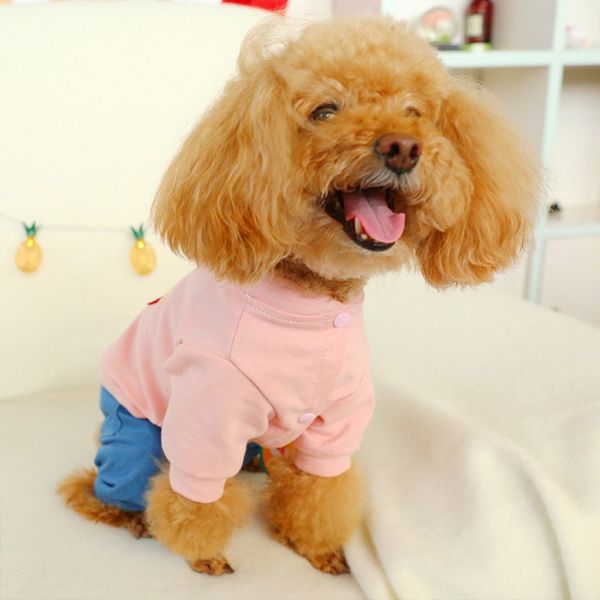 dog clothes winter warm pet dog jacket coat cute jumpsuit uniform puppy button love heart denim pants outfit
dog clothes winter warm pet dog jacket coat cute jumpsuit uniform puppy button love heart denim pants outfit