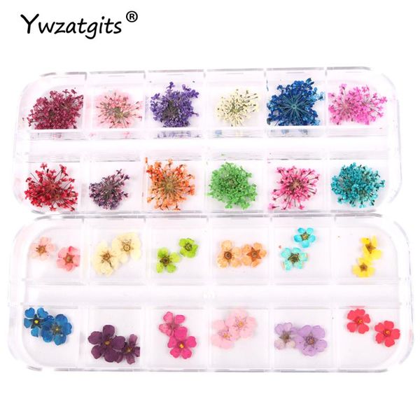 natural dried flower dry plants nail beauty art diy women manicure accessories y0114
natural dried flower dry plants nail beauty art diy women manicure accessories y0114
