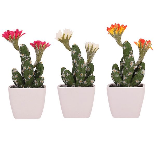 simulated potted cactus artificial green plant potted flower art home decor pu artificial plants fake plant c30306
simulated potted cactus artificial green plant potted flower art home decor pu artificial plants fake plant c30306