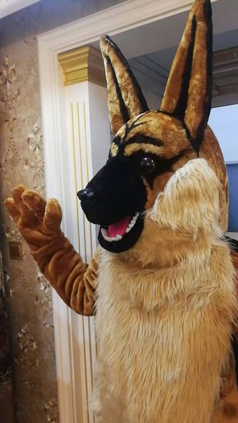cartoon movie character real pictures dog wolf dog shepherd dog mascot costume size ing, Red;yellow
cartoon movie character real pictures dog wolf dog shepherd dog mascot costume size ing, Red;yellow
