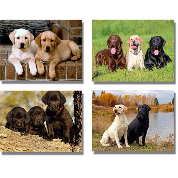 5d diamond mosaic labrador dog diy diamond painting full round drill,cross stitch pet dog diamond picture of rhinestones crafts
5d diamond mosaic labrador dog diy diamond painting full round drill,cross stitch pet dog diamond picture of rhinestones crafts
