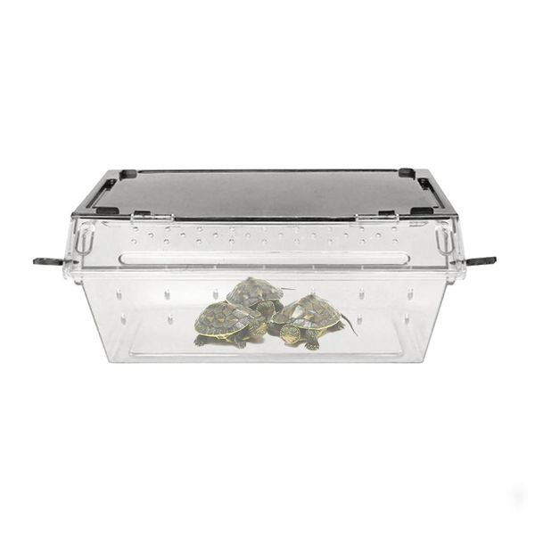 reptile breeding box snake spider lizard scorpion centipede horned frog gecko beetle insect breeding box slope non-slip design
reptile breeding box snake spider lizard scorpion centipede horned frog gecko beetle insect breeding box slope non-slip design
