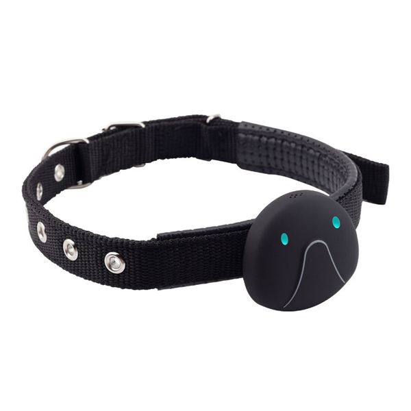 durable locator cat dog with collar wifi real time voice call tracking mini smart waterproof pet gps tracker lbs location
durable locator cat dog with collar wifi real time voice call tracking mini smart waterproof pet gps tracker lbs location