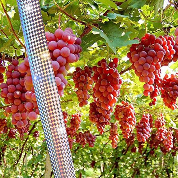 ад двђоѬонн веооѬажаа гологѬаиека пиа Ѭепеллен деѬживаий
ад двђоѬонн веооѬажаа гологѬаиека пиа Ѭепеллен деѬживаий