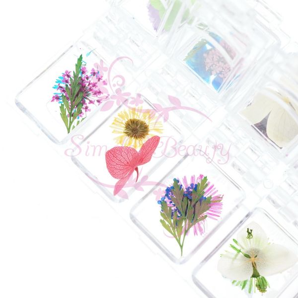 mix types colorful natural dried flowers acrylic nail art manicure 3d pressed blossom floral leaf decorations, Silver;gold
mix types colorful natural dried flowers acrylic nail art manicure 3d pressed blossom floral leaf decorations, Silver;gold