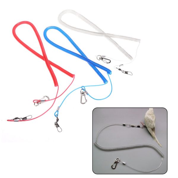 multipurpose built-in steel wire thin flying rope for parrot birds training random color
multipurpose built-in steel wire thin flying rope for parrot birds training random color