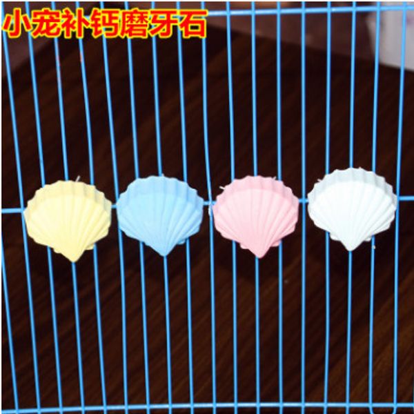 a surname a molar tooth string parrot shell mineral increase calcium use calcium grinding mouth stone nutrition
a surname a molar tooth string parrot shell mineral increase calcium use calcium grinding mouth stone nutrition