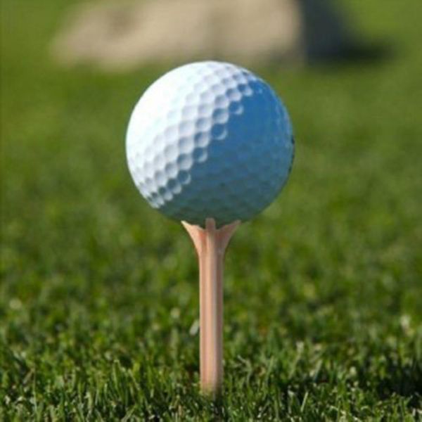 new brand 100pcs plastic golf ball wood tee tees professional frictionless golf tee wheat golf tees zlnhm
new brand 100pcs plastic golf ball wood tee tees professional frictionless golf tee wheat golf tees zlnhm