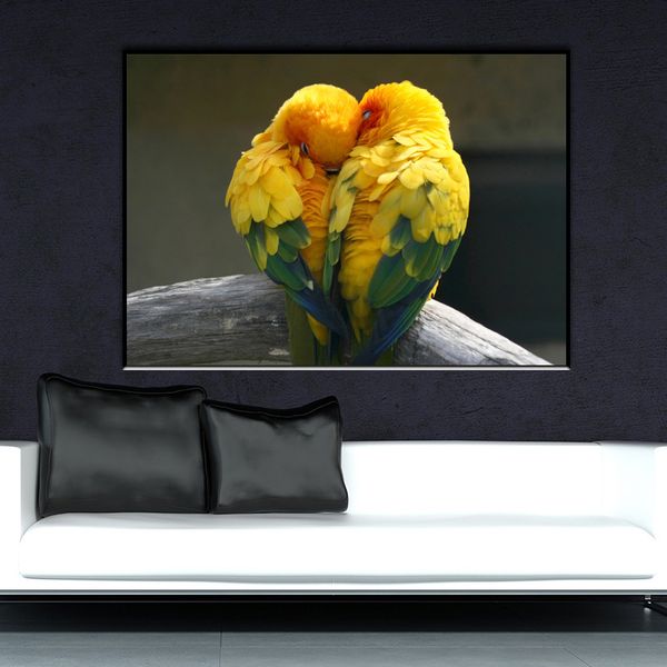 xubx12 diy 5d diamond painting kits for adults, полная дрель вышивка краска с бриллиантом для домашнего декора стен(parrot
xubx12 diy 5d diamond painting kits for adults, полная дрель вышивка краска с бриллиантом для домашнего декора стен(parrot