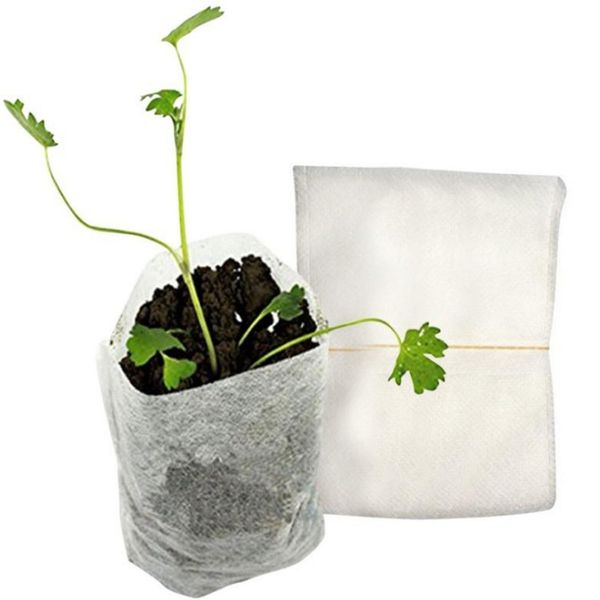 100pcs/bag biodegradable seed nursery bags nursery flower pots vegetable transplant breeding pots garden planting bag
100pcs/bag biodegradable seed nursery bags nursery flower pots vegetable transplant breeding pots garden planting bag
