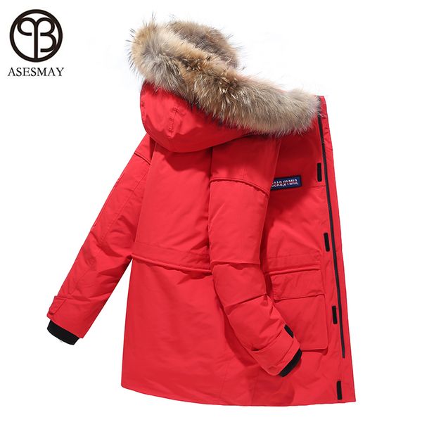 asesmay brand clothing men down jacket winter coat real fur hooded parkas long male joggers jacket thicken warm lover clothing, Black
asesmay brand clothing men down jacket winter coat real fur hooded parkas long male joggers jacket thicken warm lover clothing, Black