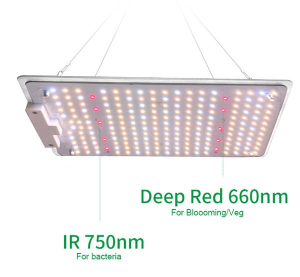 2020 new diy quantum board led grow light panel 110w for indoor garden medical plants growing
2020 new diy quantum board led grow light panel 110w for indoor garden medical plants growing