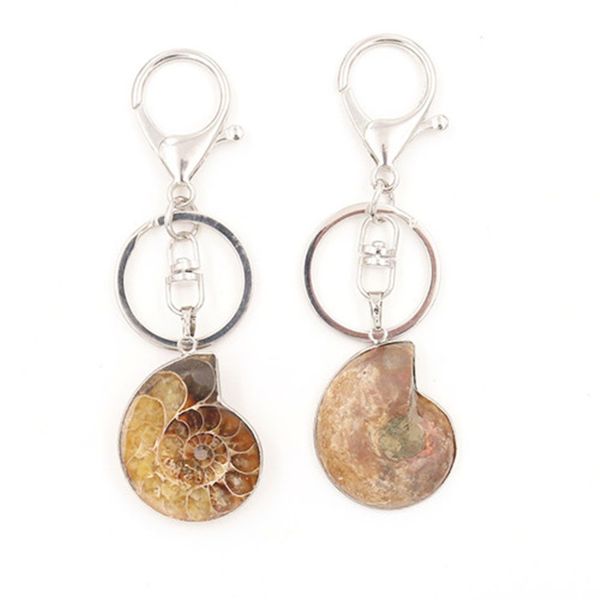 fyjs unique gift silver plated circle lobster clasp ammonite reliquiae key chain ethnic jewelry
fyjs unique gift silver plated circle lobster clasp ammonite reliquiae key chain ethnic jewelry