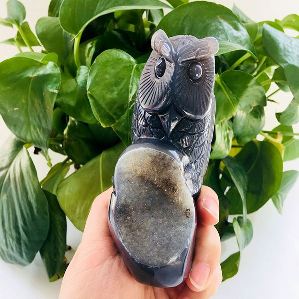 agate geode figurines carved gemstone owl healing crystal cluster quartz stone gift wicca decor mineral xyw
agate geode figurines carved gemstone owl healing crystal cluster quartz stone gift wicca decor mineral xyw