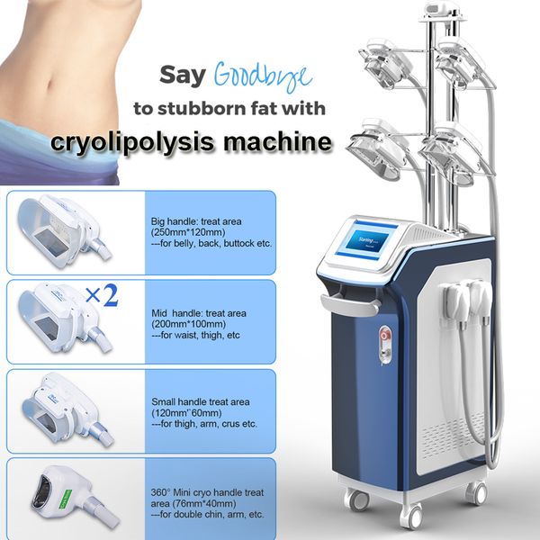 ce approved cryolipolysis fat e machine body contouring weight loss cryolipolysis 360 cryo double chin treatment
ce approved cryolipolysis fat e machine body contouring weight loss cryolipolysis 360 cryo double chin treatment