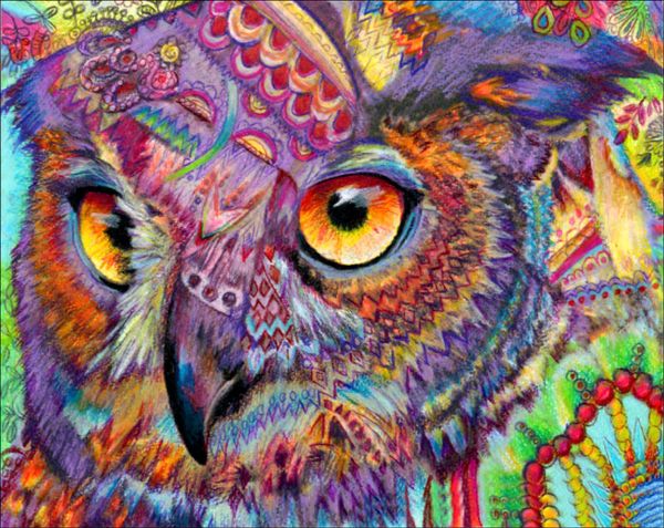 diy 5d diamond painting crafts cross stitch colorful owl mosaic diamond embroidery sewing pattern rhinestone gifts home decor
diy 5d diamond painting crafts cross stitch colorful owl mosaic diamond embroidery sewing pattern rhinestone gifts home decor