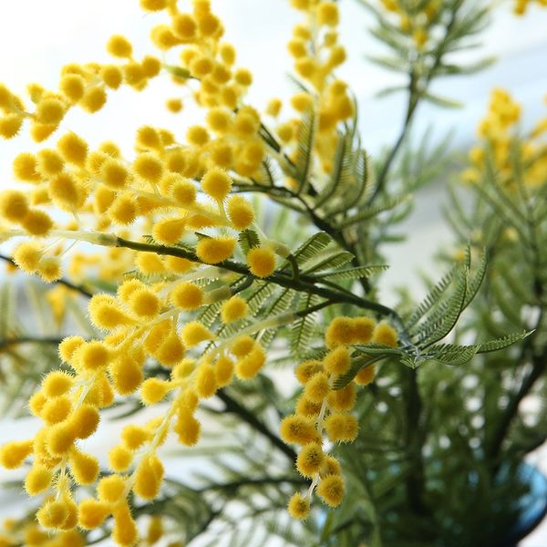 fake tree branches decoration artificial plants house plants decorating for home decor decoracion de casa garden decoration
fake tree branches decoration artificial plants house plants decorating for home decor decoracion de casa garden decoration