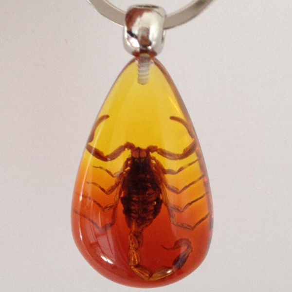 insect amber keychain car crystal insect keyring outdoor fashion key ring birthday gifts accessories for man women dh1009
insect amber keychain car crystal insect keyring outdoor fashion key ring birthday gifts accessories for man women dh1009