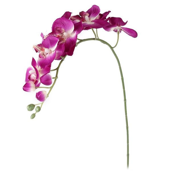 1 orchid flower decorative branch orchid butterfly artificial flowers for home wedding decor - fuchsia
1 orchid flower decorative branch orchid butterfly artificial flowers for home wedding decor - fuchsia