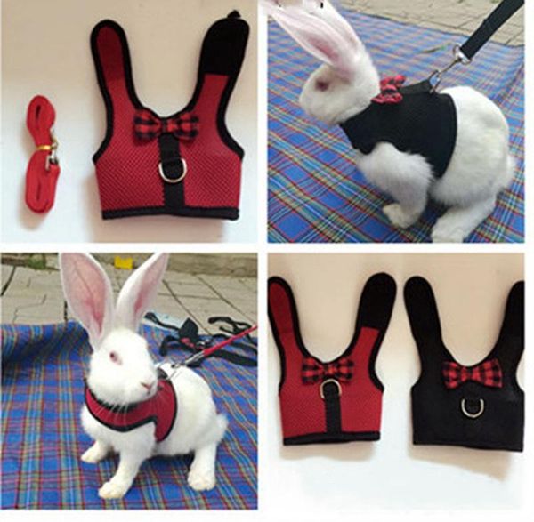 my neighbor totoro hamsters cats puppy dogs rabbits pets pulling rabbits professional leashes pet traction rope collar