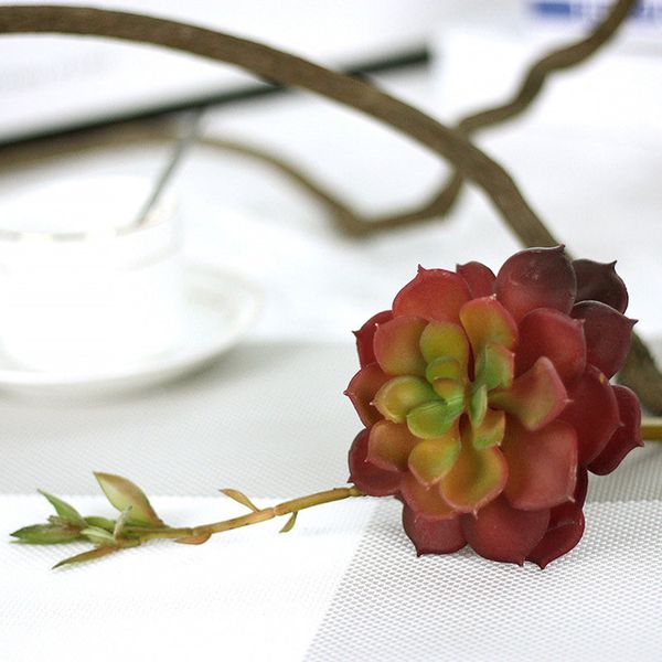simulation succulent conjoined plants diy with flower pauline artificial succulents plants garden decoration diy accessories
simulation succulent conjoined plants diy with flower pauline artificial succulents plants garden decoration diy accessories