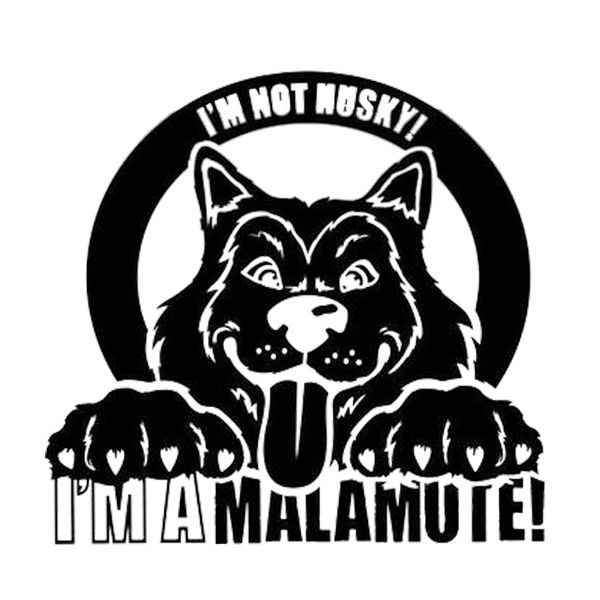 16*15.2cm i'm not husky, i'm a malamute - vinyl sticker decal motorcycle suvs bumper car window lapcar stylings
16*15.2cm i'm not husky, i'm a malamute - vinyl sticker decal motorcycle suvs bumper car window lapcar stylings