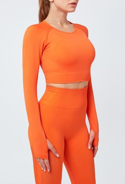stretchy plain seamless sport fitness crop women back hollow out slim workout athletic long-sleeved shirts 2020, White;red
stretchy plain seamless sport fitness crop women back hollow out slim workout athletic long-sleeved shirts 2020, White;red