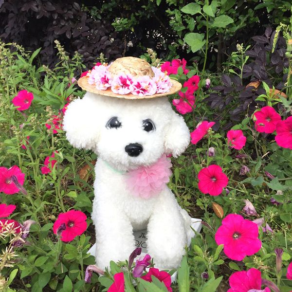 summer dog straw sun hat cap pet outdoor accessories hawaii style sombrero hats for small dogs cats chihuahua petshop
summer dog straw sun hat cap pet outdoor accessories hawaii style sombrero hats for small dogs cats chihuahua petshop