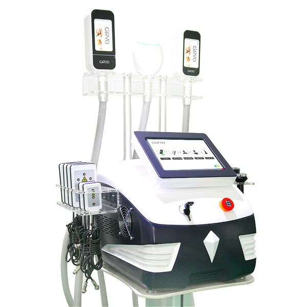 3 cryo handles cryolipolysis cryolipolyse machine fat e cryolipolysis equipment double chin handle 360° cooling for sale
3 cryo handles cryolipolysis cryolipolyse machine fat e cryolipolysis equipment double chin handle 360° cooling for sale