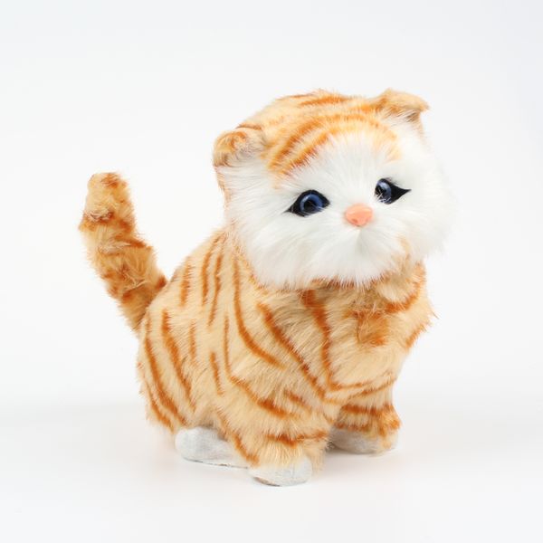 20см реалистичного electric плюшевые игрушки звучащая cat мягкая игрушка cute cat животных кукла может мяу мяу игрушки для девочек мальчики
20см реалистичного electric плюшевые игрушки звучащая cat мягкая игрушка cute cat животных кукла может мяу мяу игрушки для девочек мальчики
