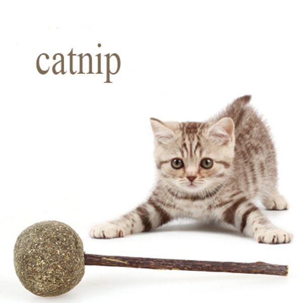 natural cat toy catnip ball snack molar stick actinidia polygama lollipop cat molar tooth cleaning snack pet cat bite toy
natural cat toy catnip ball snack molar stick actinidia polygama lollipop cat molar tooth cleaning snack pet cat bite toy