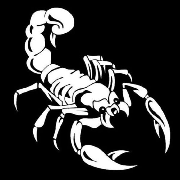 3d car scorpion styling vinyl sticker decals car stickers acessories decoration
3d car scorpion styling vinyl sticker decals car stickers acessories decoration