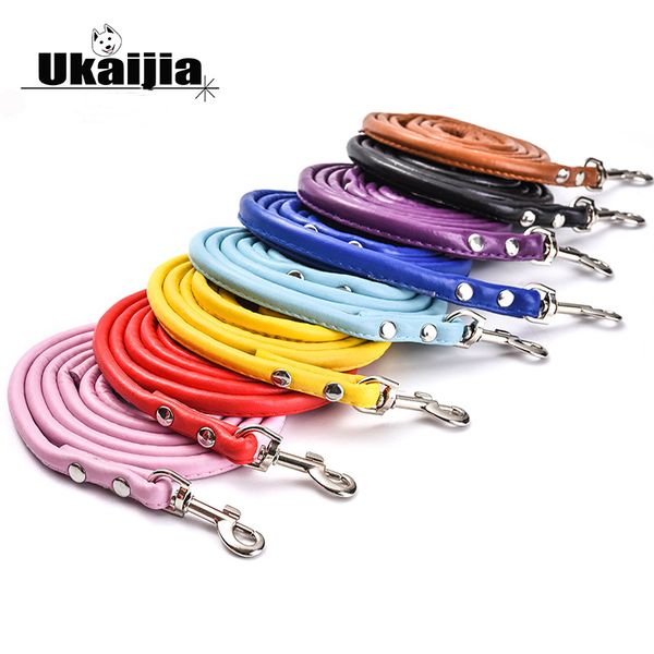 dog leash dog chain small medium large cat leash rope cat chain supplies 
dog leash dog chain small medium large cat leash rope cat chain supplies