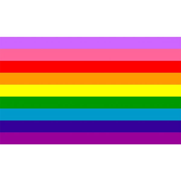 2017 diversity lgbt flag 90*150cm hanging for decoration 
2017 diversity lgbt flag 90*150cm hanging for decoration