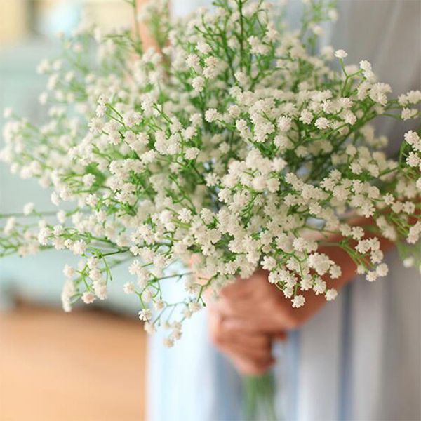 1pc artificial babysbreath bouquet (24 branches) pgraphy props wedding party decoration
1pc artificial babysbreath bouquet (24 branches) pgraphy props wedding party decoration