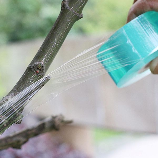 2cmwide pvc fruit tree grafting tape wrapping film self-adhesive stretchable plastic film wrapping gardening tape for graft tree
2cmwide pvc fruit tree grafting tape wrapping film self-adhesive stretchable plastic film wrapping gardening tape for graft tree