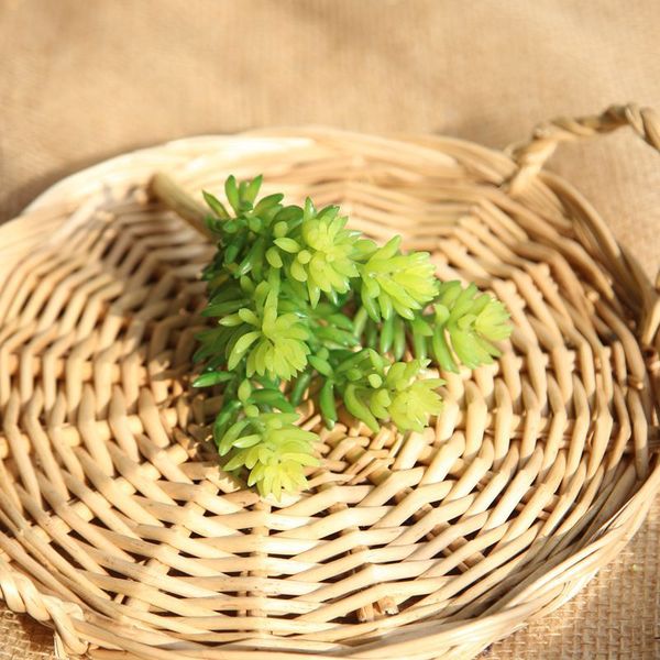 1pcs artificial succulents plants grass desert artificial landscape plant fake flower arrangement home garden decor
1pcs artificial succulents plants grass desert artificial landscape plant fake flower arrangement home garden decor