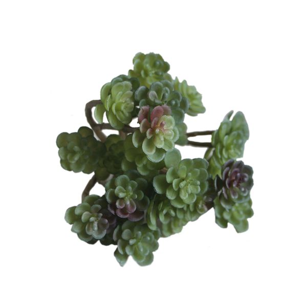 24 heads artificial fake succulent plant lotus land rare landscape flower plants diy home balcony garden wedding decoration
24 heads artificial fake succulent plant lotus land rare landscape flower plants diy home balcony garden wedding decoration