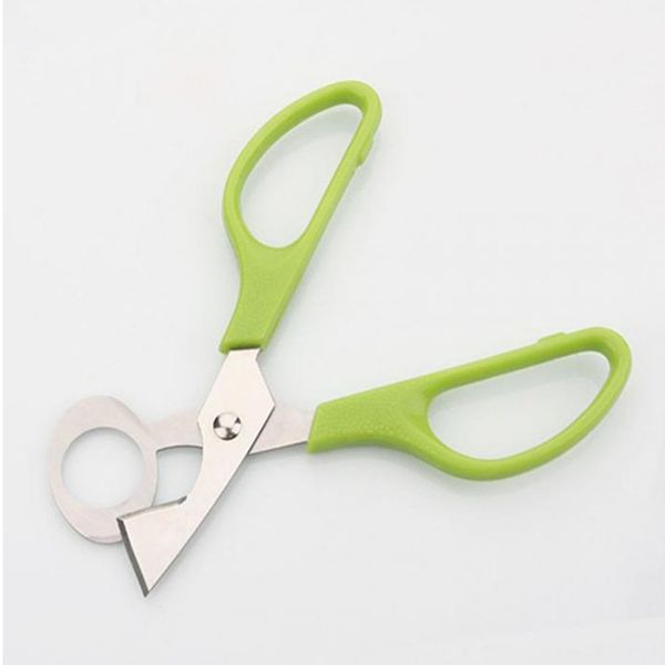 novel quail egg scissors stainless steel pigeon quail egg shell splitter remover shell cutter novel kitchen tool egg tools
novel quail egg scissors stainless steel pigeon quail egg shell splitter remover shell cutter novel kitchen tool egg tools