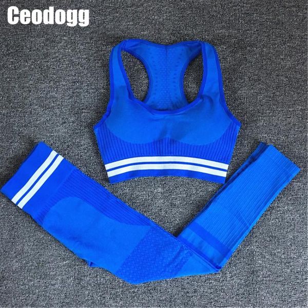 seamless yoga set sport wear women gym workout fitness clothing female sport suit high waist legging sports bra tracksuit, White;red
seamless yoga set sport wear women gym workout fitness clothing female sport suit high waist legging sports bra tracksuit, White;red