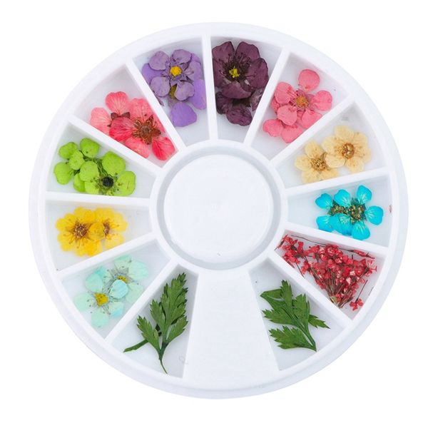 mixed natural nail dried flower diy 3d pressed blossom flower leaf slider sticker polish manicure nail art decorations
mixed natural nail dried flower diy 3d pressed blossom flower leaf slider sticker polish manicure nail art decorations