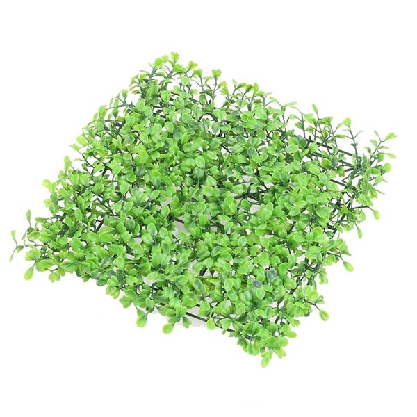 1pcs artificial plastic green grass plant fish tank ornament plant aquarium lawn landscape decoration garden decorations
1pcs artificial plastic green grass plant fish tank ornament plant aquarium lawn landscape decoration garden decorations