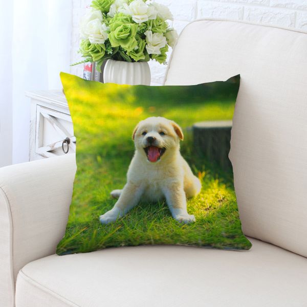 2pcs/lot decorative cushion cover cute dog printed pillow cover 45*45cm pillowcase throw pillow case sofa car cushion
2pcs/lot decorative cushion cover cute dog printed pillow cover 45*45cm pillowcase throw pillow case sofa car cushion